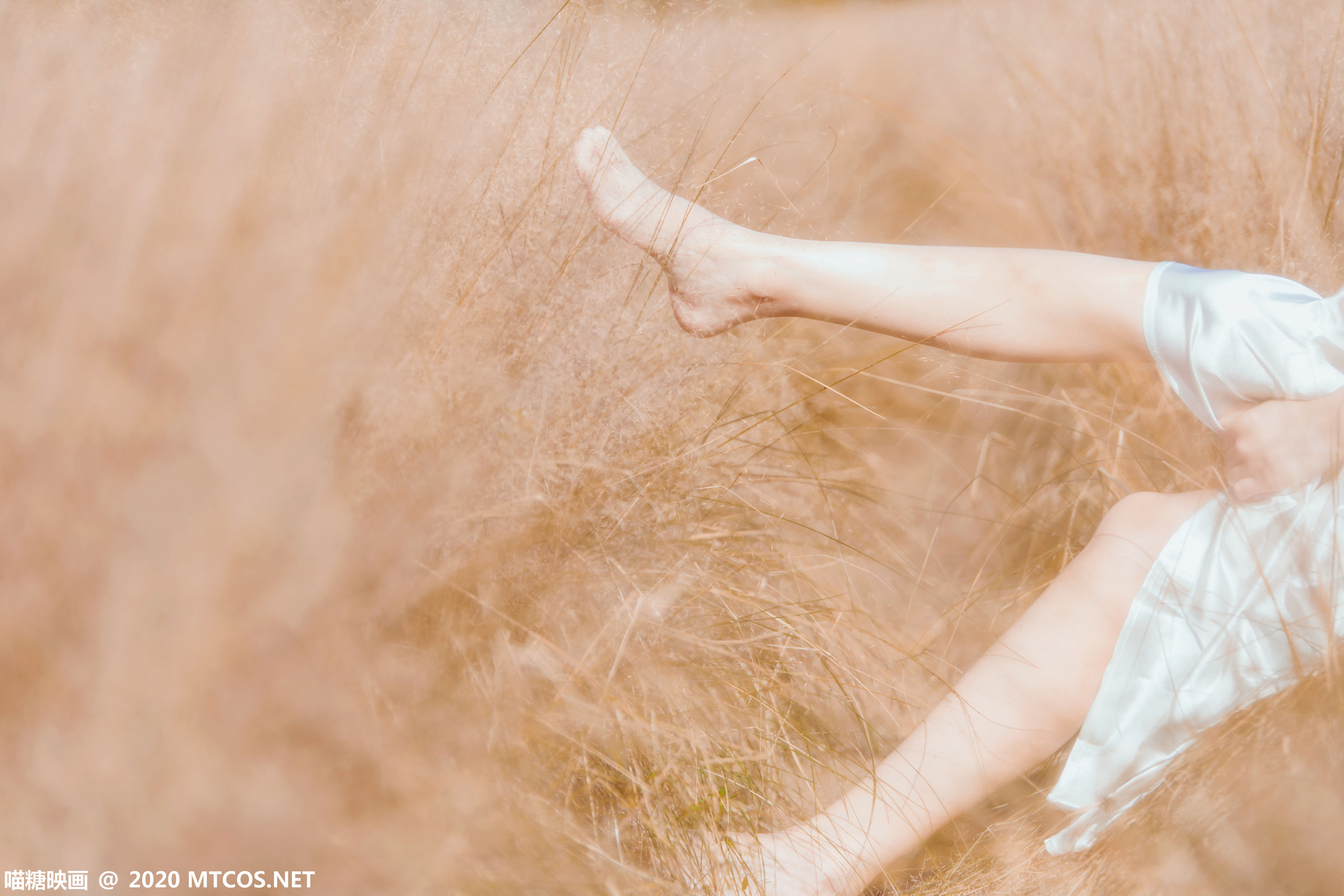 图片[9]-[喵糖映画] VOL.224 桜桃喵 晚秋的原野-秀臀网-高品质图集网