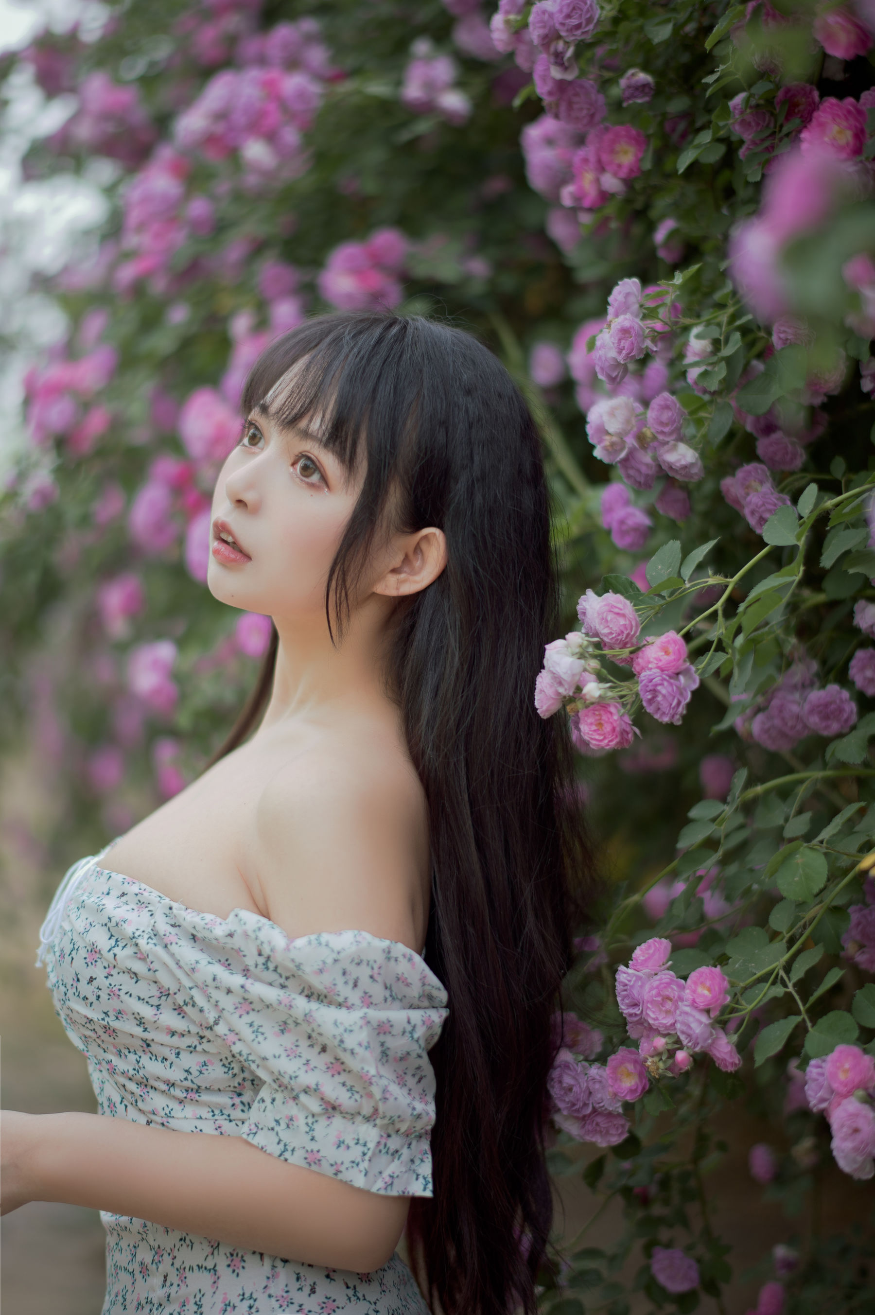 图片[9]-[喵糖映画] VOL.338 黑猫猫OvO 蔷薇少女-秀臀网-高品质图集网