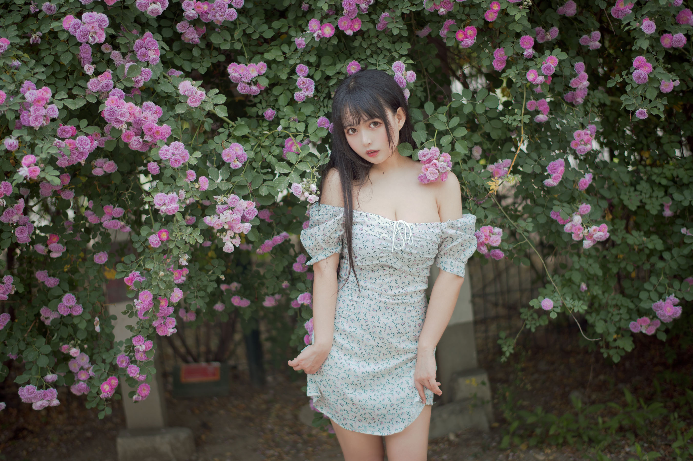 图片[7]-[喵糖映画] VOL.338 黑猫猫OvO 蔷薇少女-秀臀网-高品质图集网