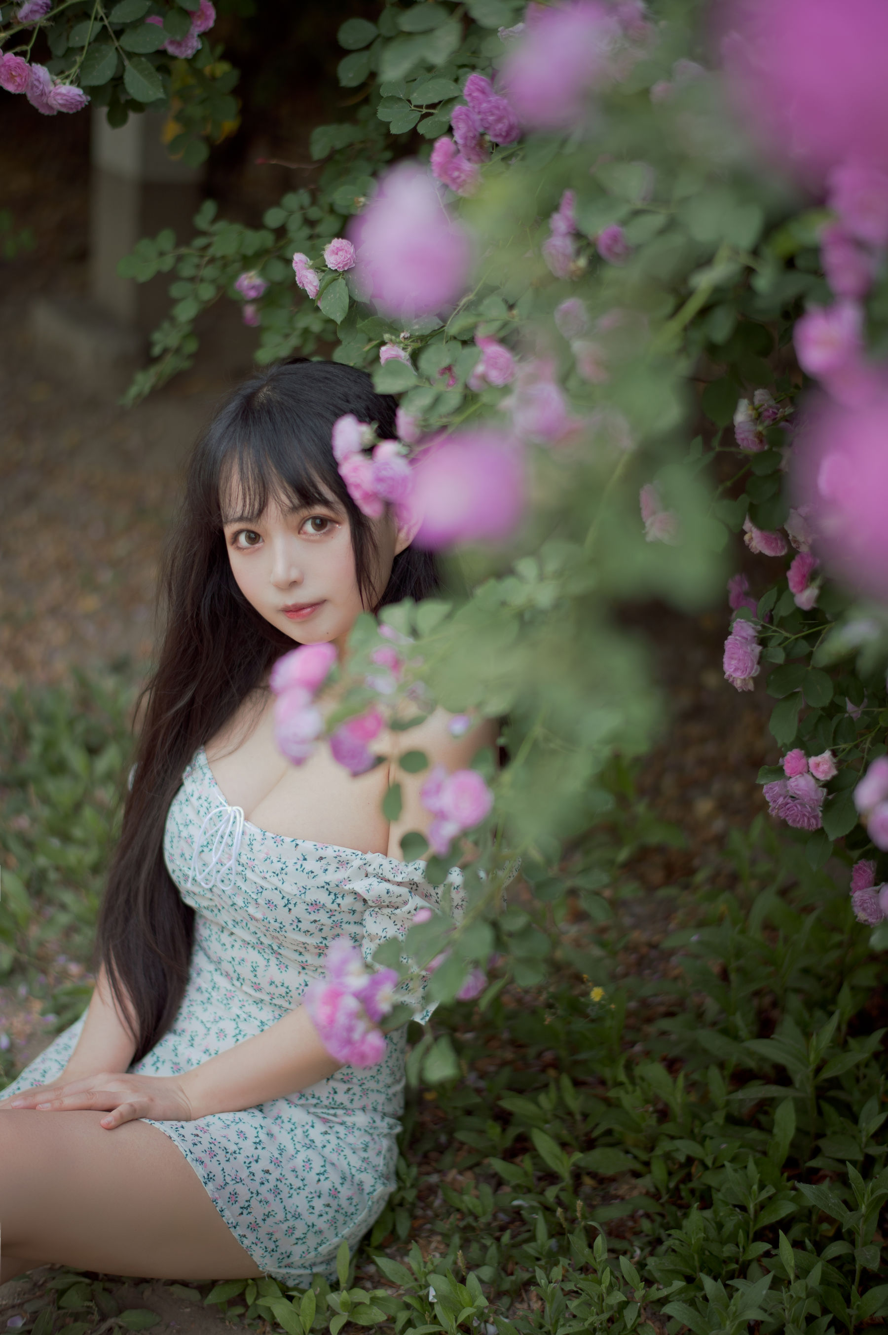 图片[8]-[喵糖映画] VOL.338 黑猫猫OvO 蔷薇少女-秀臀网-高品质图集网