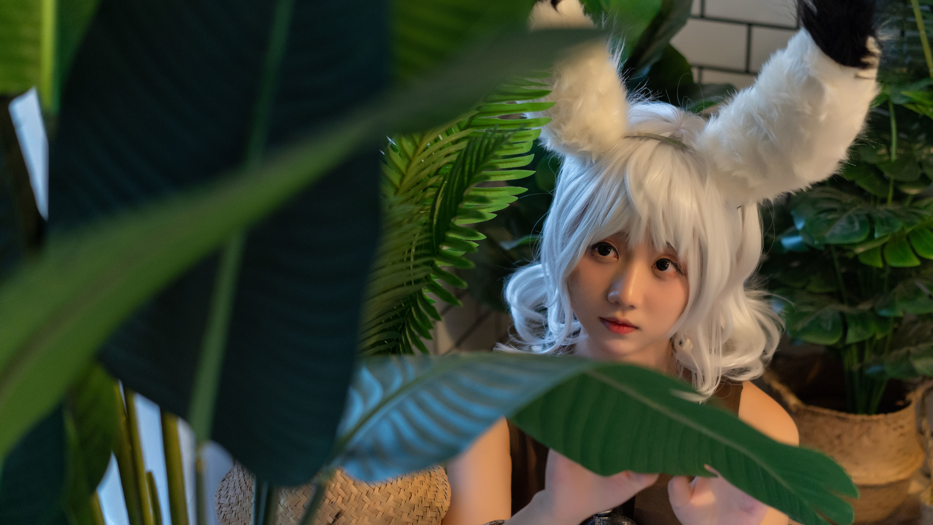 图片[8]-微博福利姬镜酱 希尔-秀臀网-高品质图集网