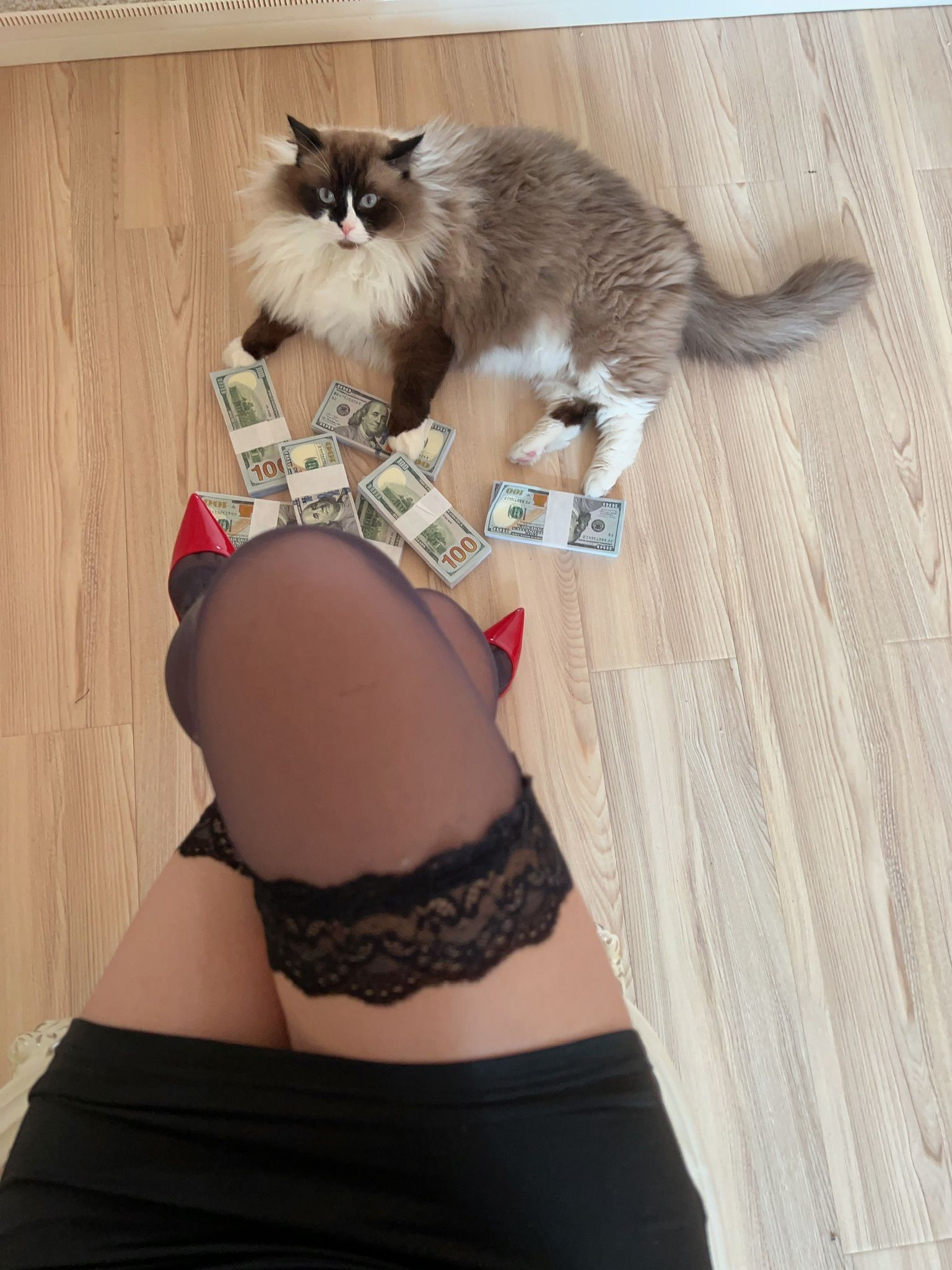 图片[8]-张老师 微密 V.P3-1-秀臀网-高品质图集网