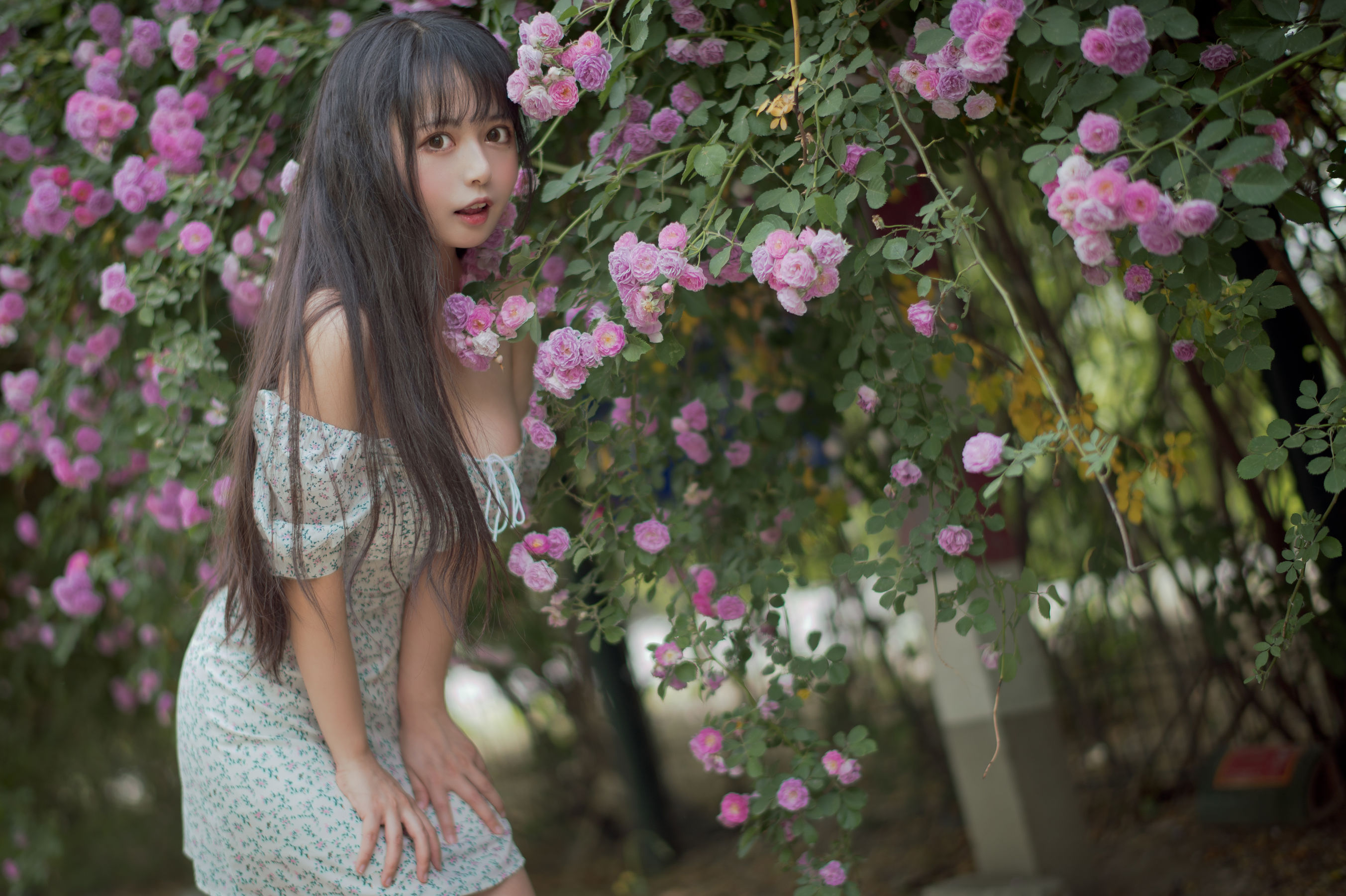 图片[8]-[COS福利] 大眼萌妹黑猫猫OvO – 蔷薇2-秀臀网-高品质图集网