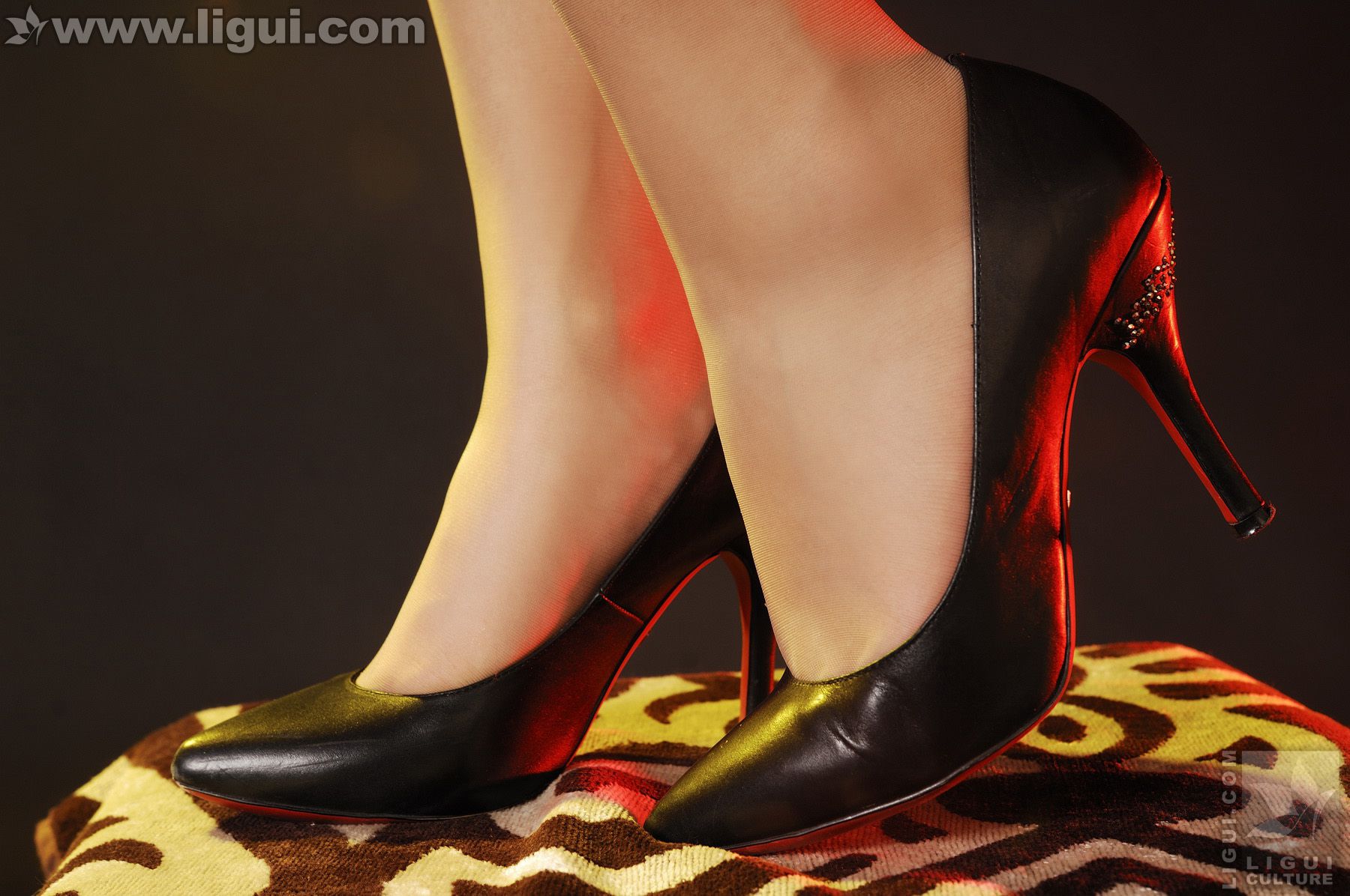 图片[8]-Model 英子《高貴典雅的丝襪美女》 [丽柜LiGui] 写真图片-秀臀网-高品质图集网