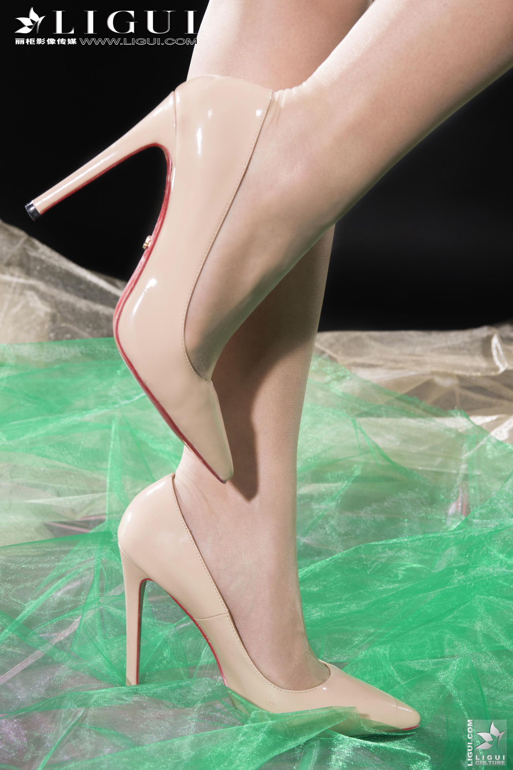 图片[7]-Model 安娜《薄纱丝足》[丽柜贵足] 美腿玉足写真图片-秀臀网-高品质图集网