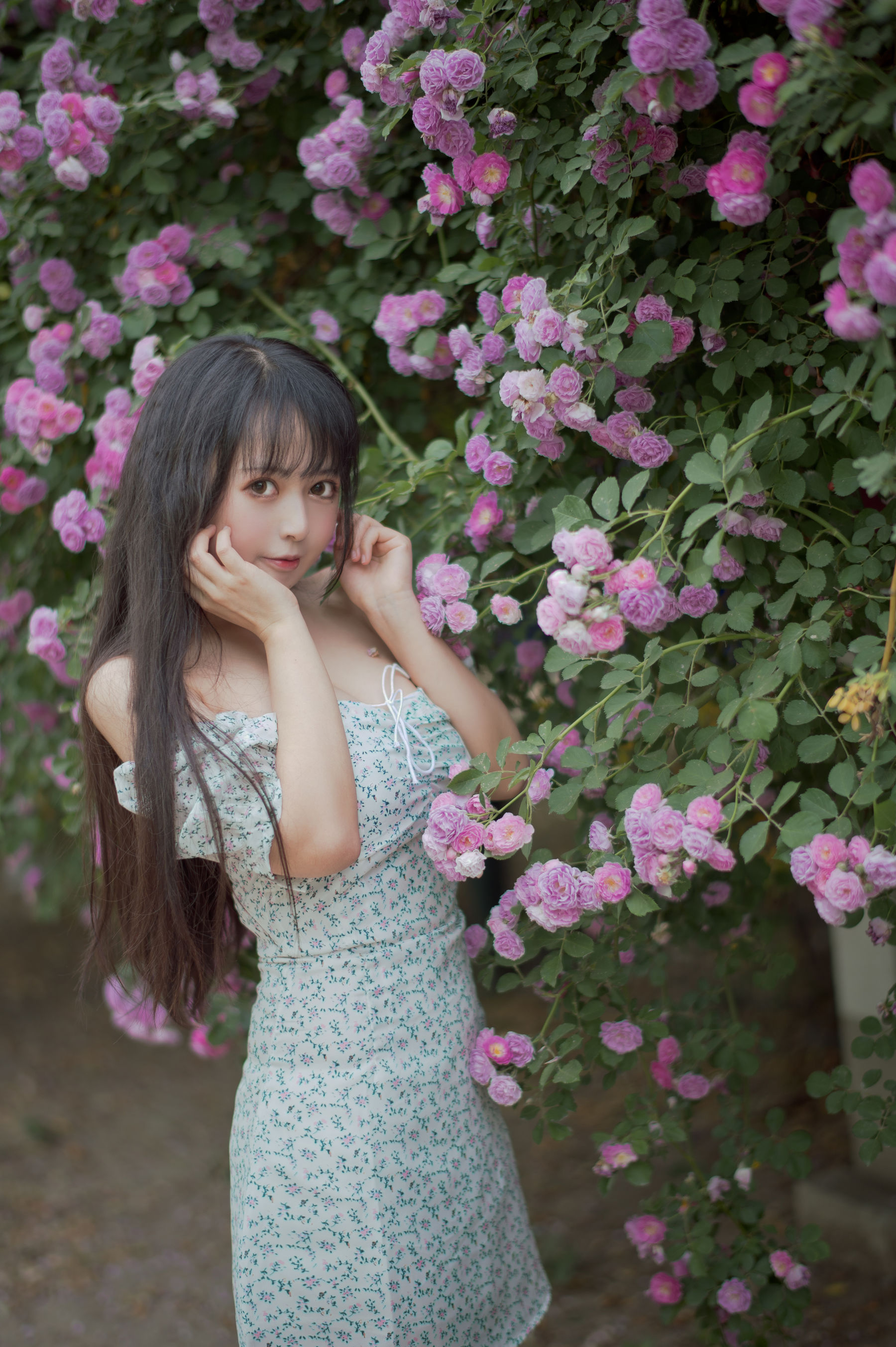 图片[9]-[COS福利] 大眼萌妹黑猫猫OvO – 蔷薇2-秀臀网-高品质图集网