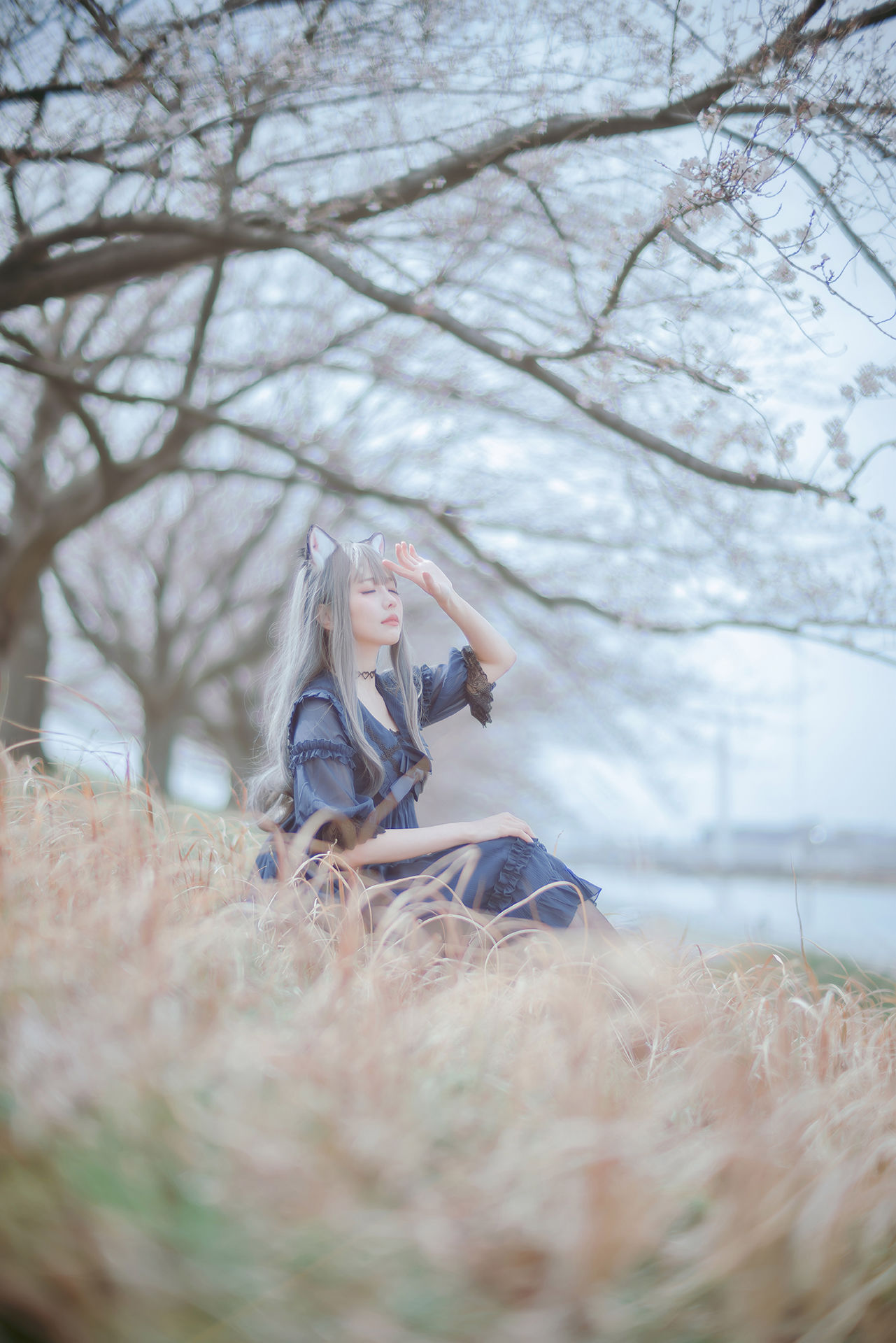 Ely_eee(ElyEE子) – Sakura-蕾丝百合网-美图分享,Cosplay美图,私房写真,套图下载