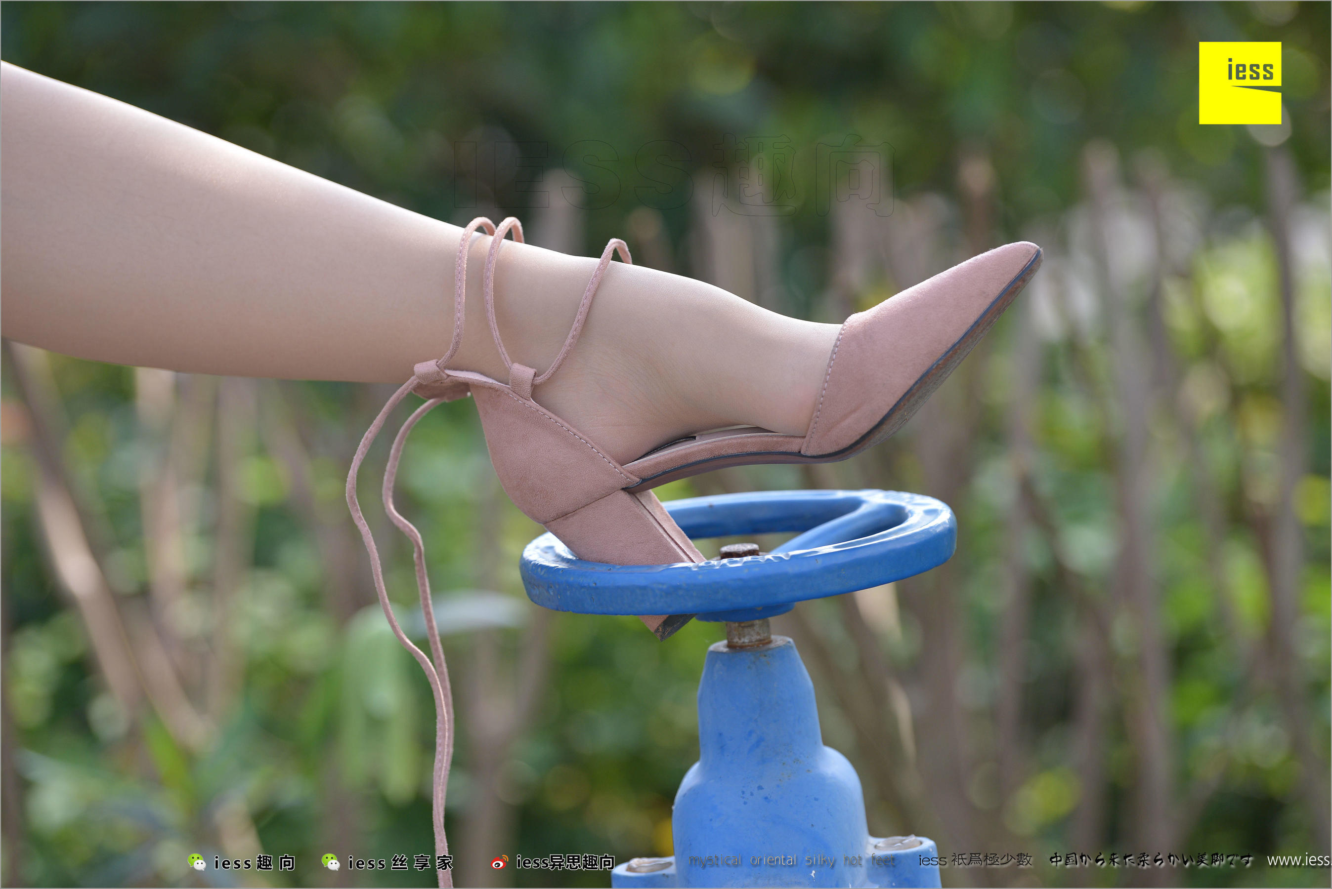 图片[9]-馨月《足鉴》 [异思趣向IESS] 丝足便当215-秀臀网-高品质图集网