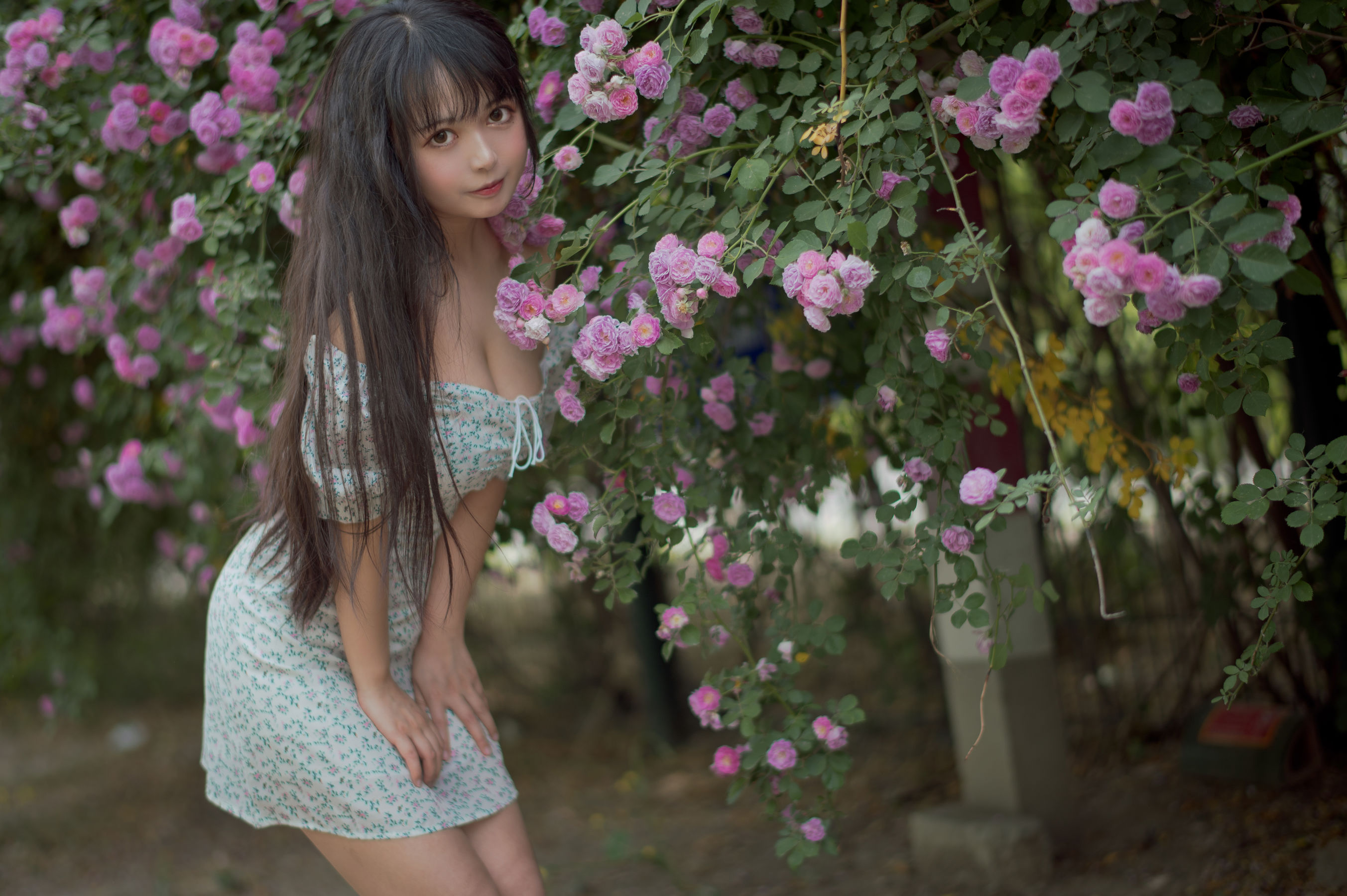 图片[7]-[COS福利] 大眼萌妹黑猫猫OvO – 蔷薇2-秀臀网-高品质图集网