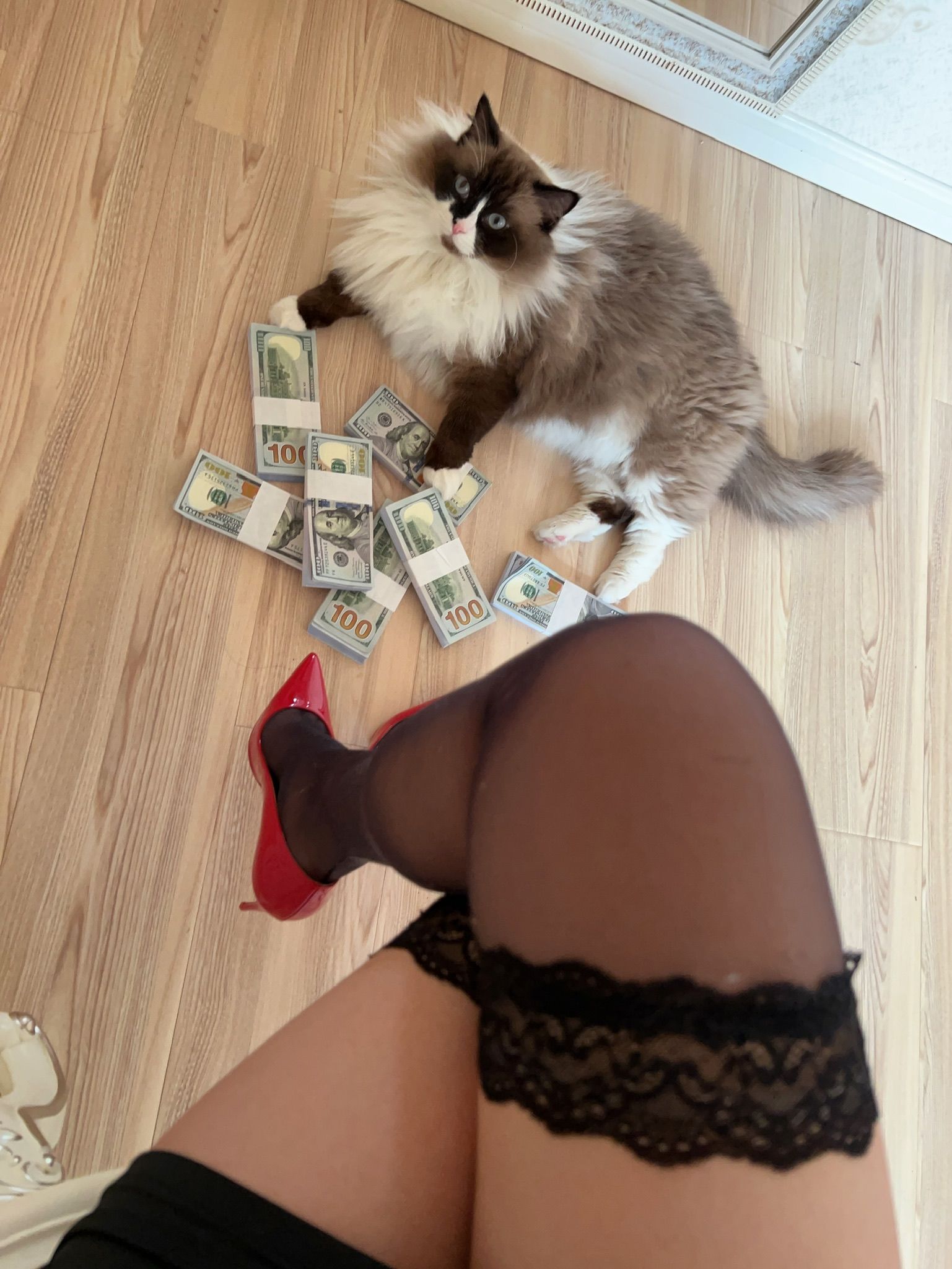 图片[9]-张老师 微密 V.P3-1-秀臀网-高品质图集网