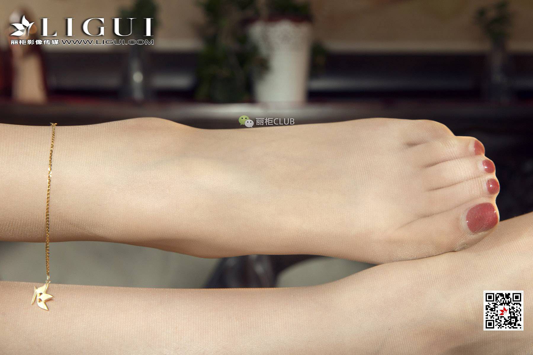 图片[9]-腿模小戈《优雅旗袍丝足》 [丽柜LIGUI] 美腿丝足-秀臀网-高品质图集网