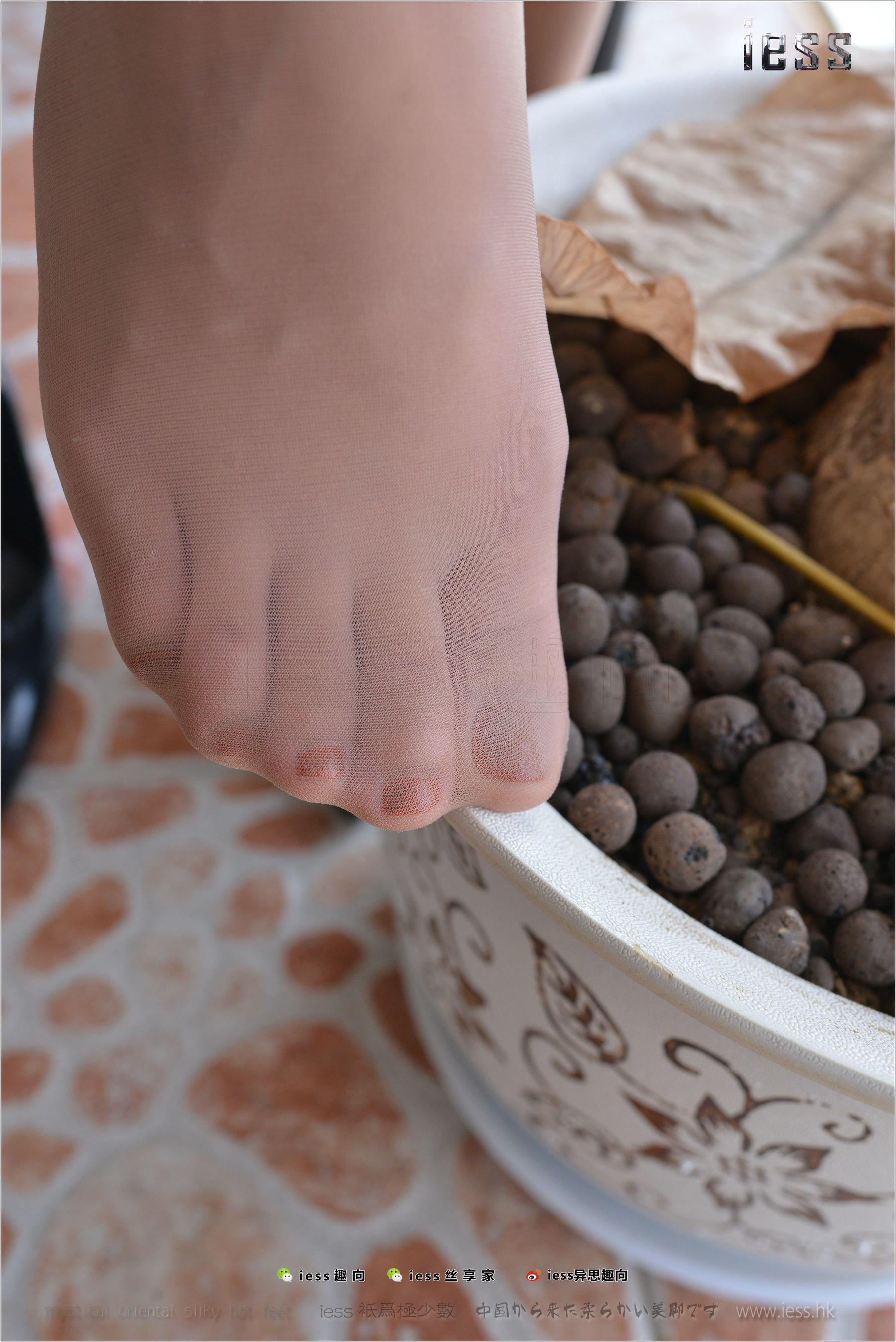 图片[8]-丝足便当165 表妹 《老大的远房表妹》[IESS异思趣向]-秀臀网-高品质图集网