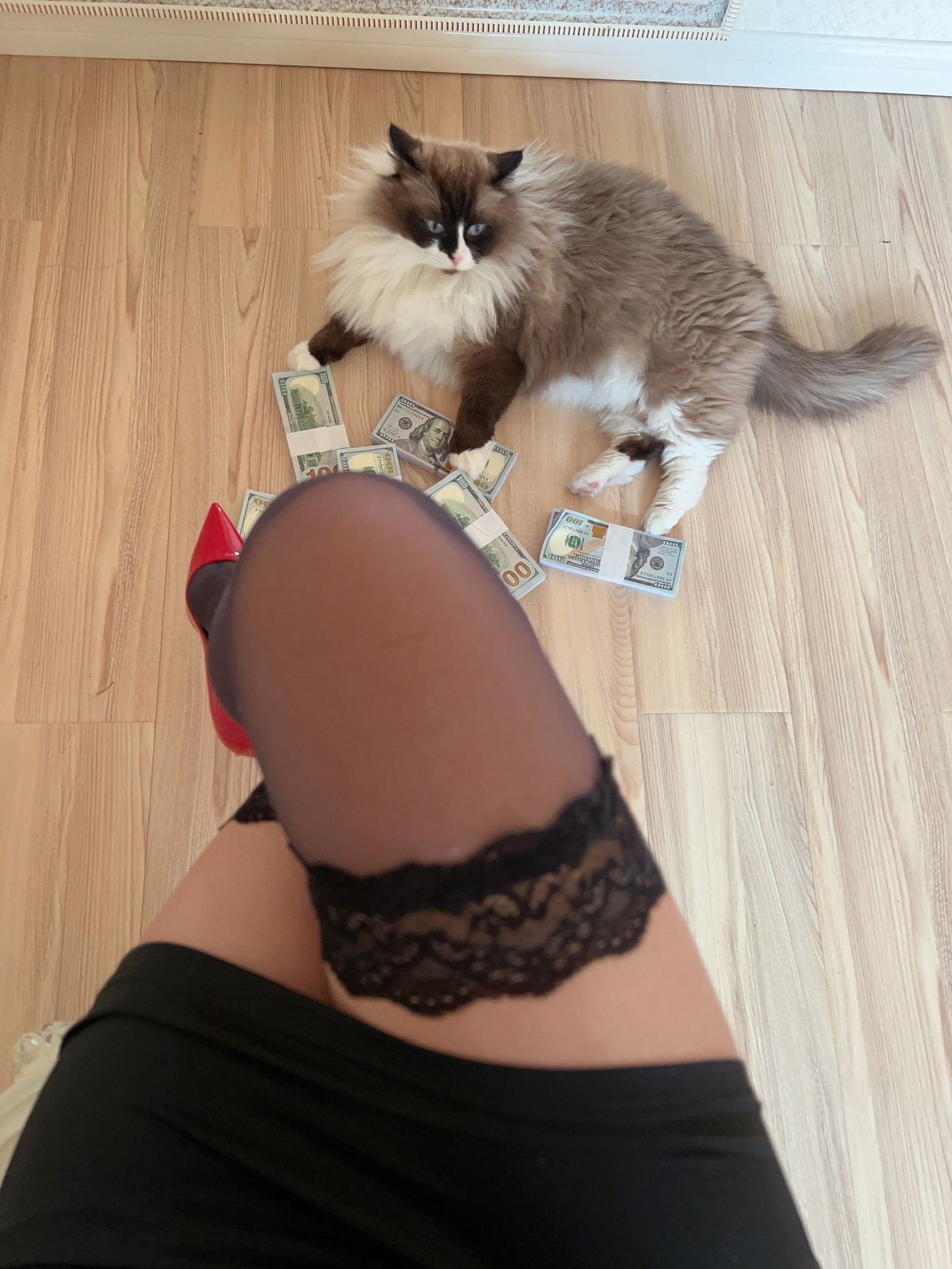 图片[7]-张老师 微密 V.P3-1-秀臀网-高品质图集网