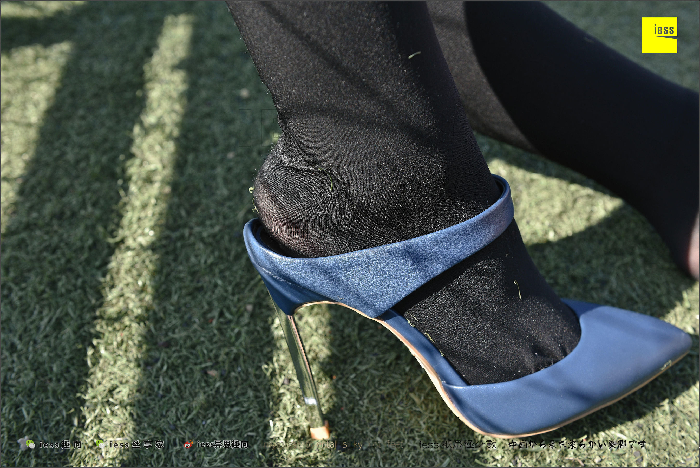 图片[7]-丝足便当182 静静 《厚黑丝的“透肉”诱惑》[IESS异思趣向]-秀臀网-高品质图集网