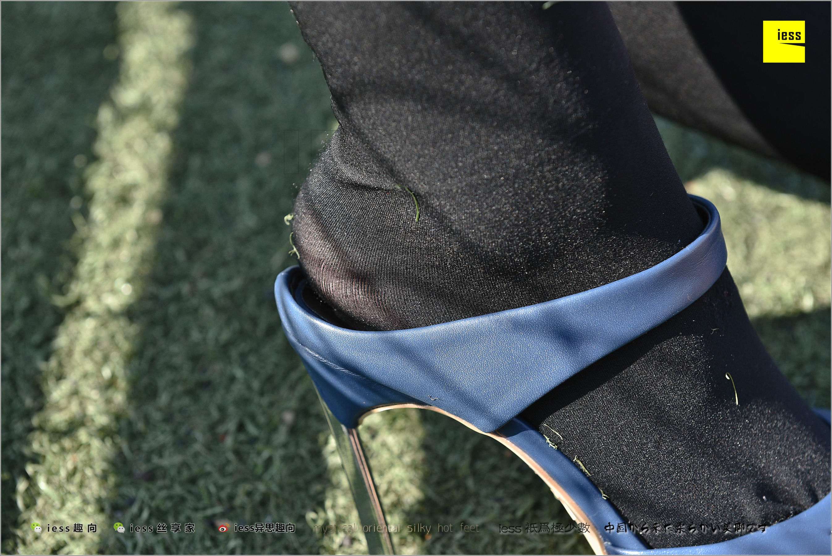 图片[8]-丝足便当182 静静 《厚黑丝的“透肉”诱惑》[IESS异思趣向]-秀臀网-高品质图集网
