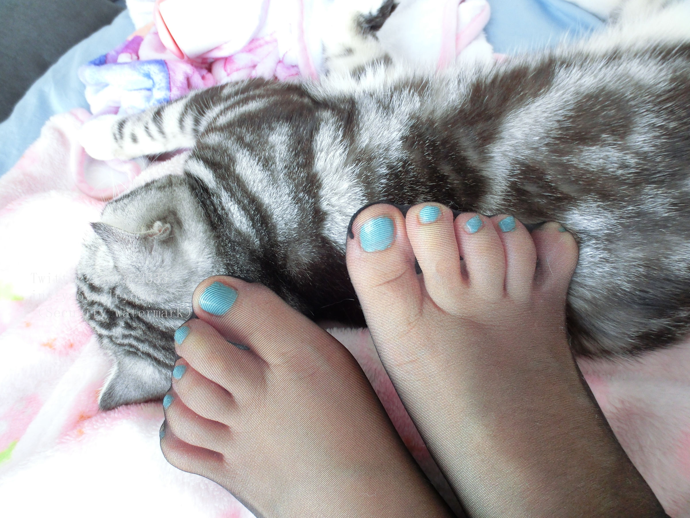 图片[9]-萌妹子Coser摇摇乐yoyo 黑丝美少女-秀臀网-高品质图集网