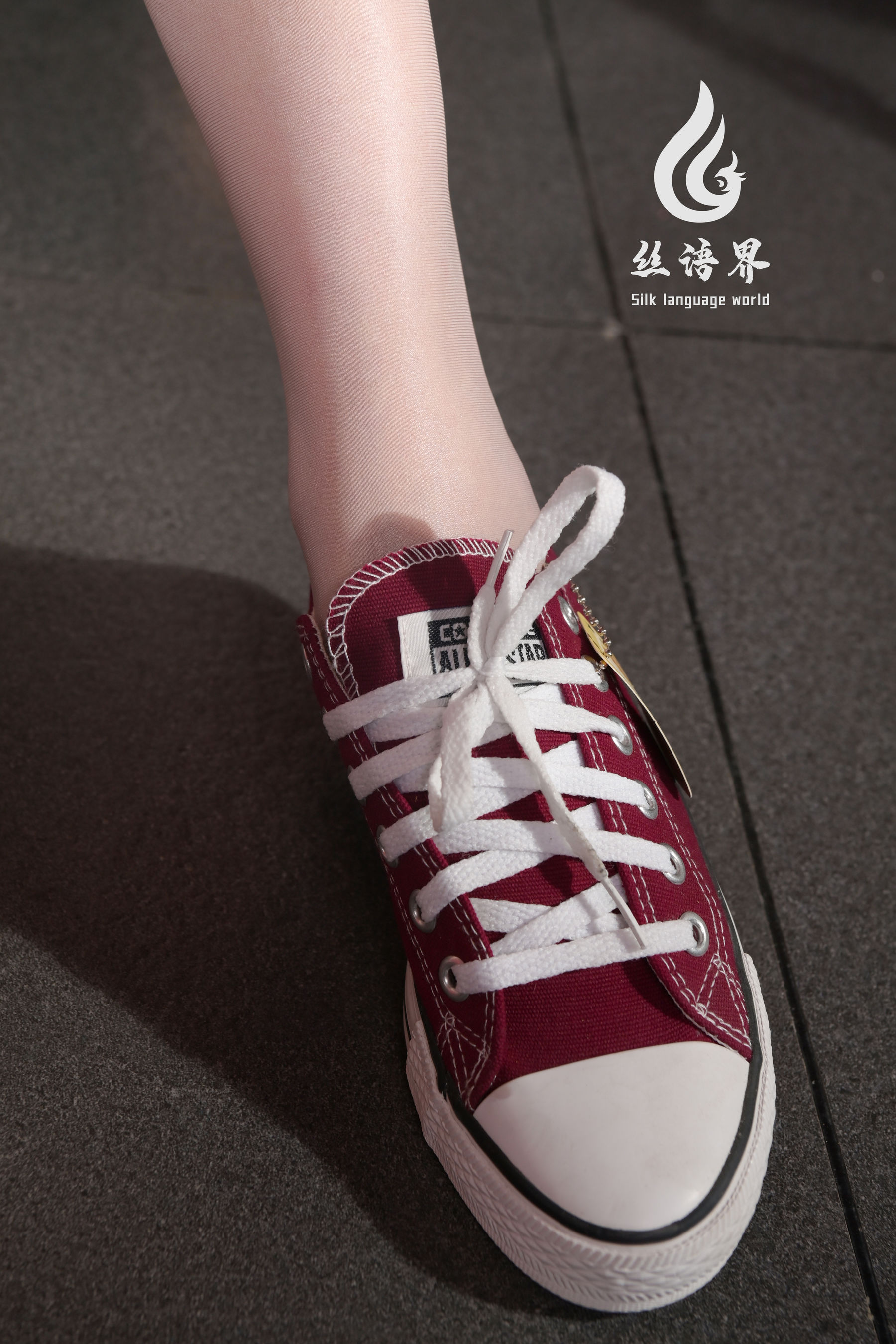 图片[5]-[丽柜Ligui] 网络丽人 Model 团子-秀臀网-高品质图集网