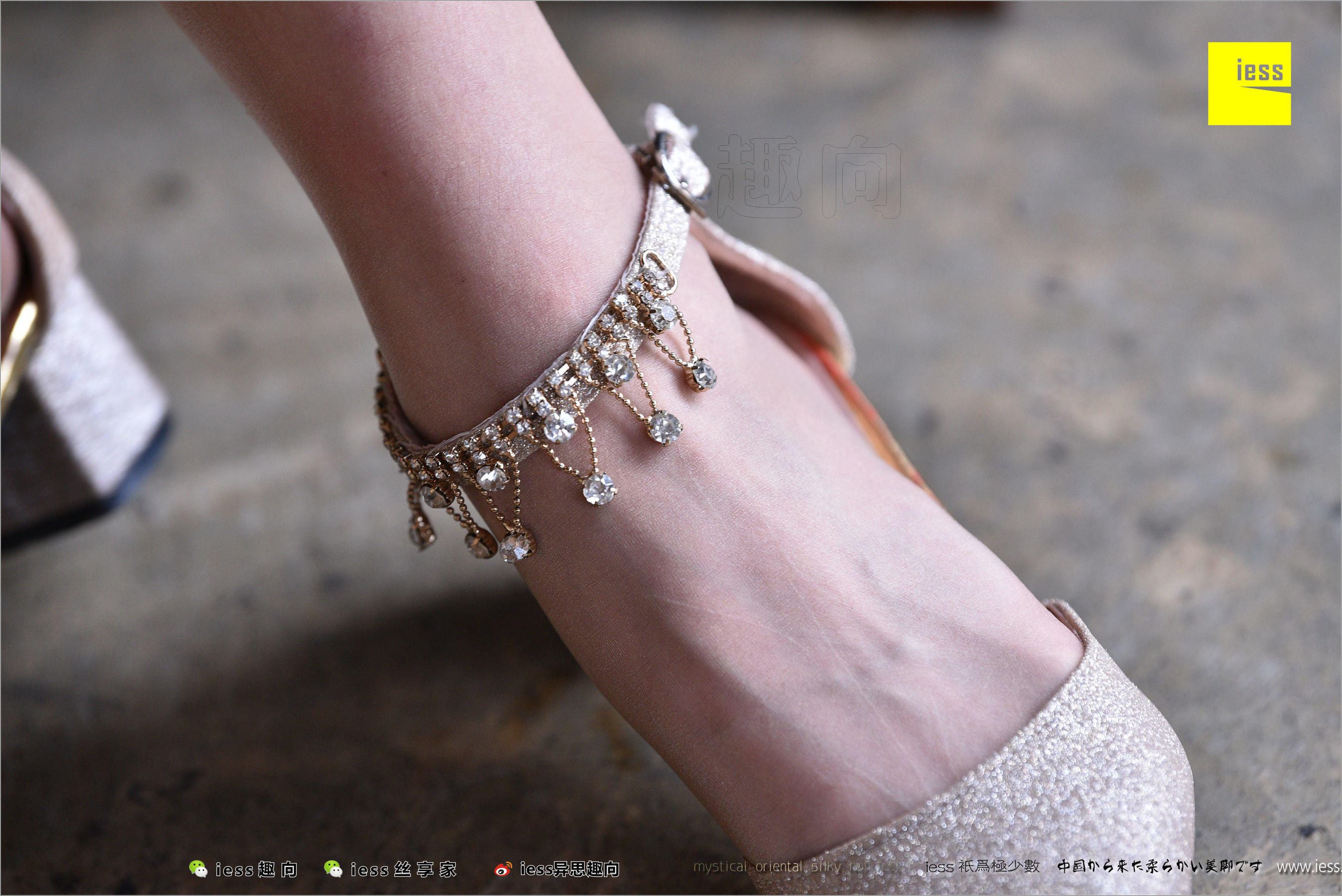 图片[9]-暖暖《长丝和10片天然粉红的花瓣》 [异思趣向IESS] 丝足便当217-秀臀网-高品质图集网