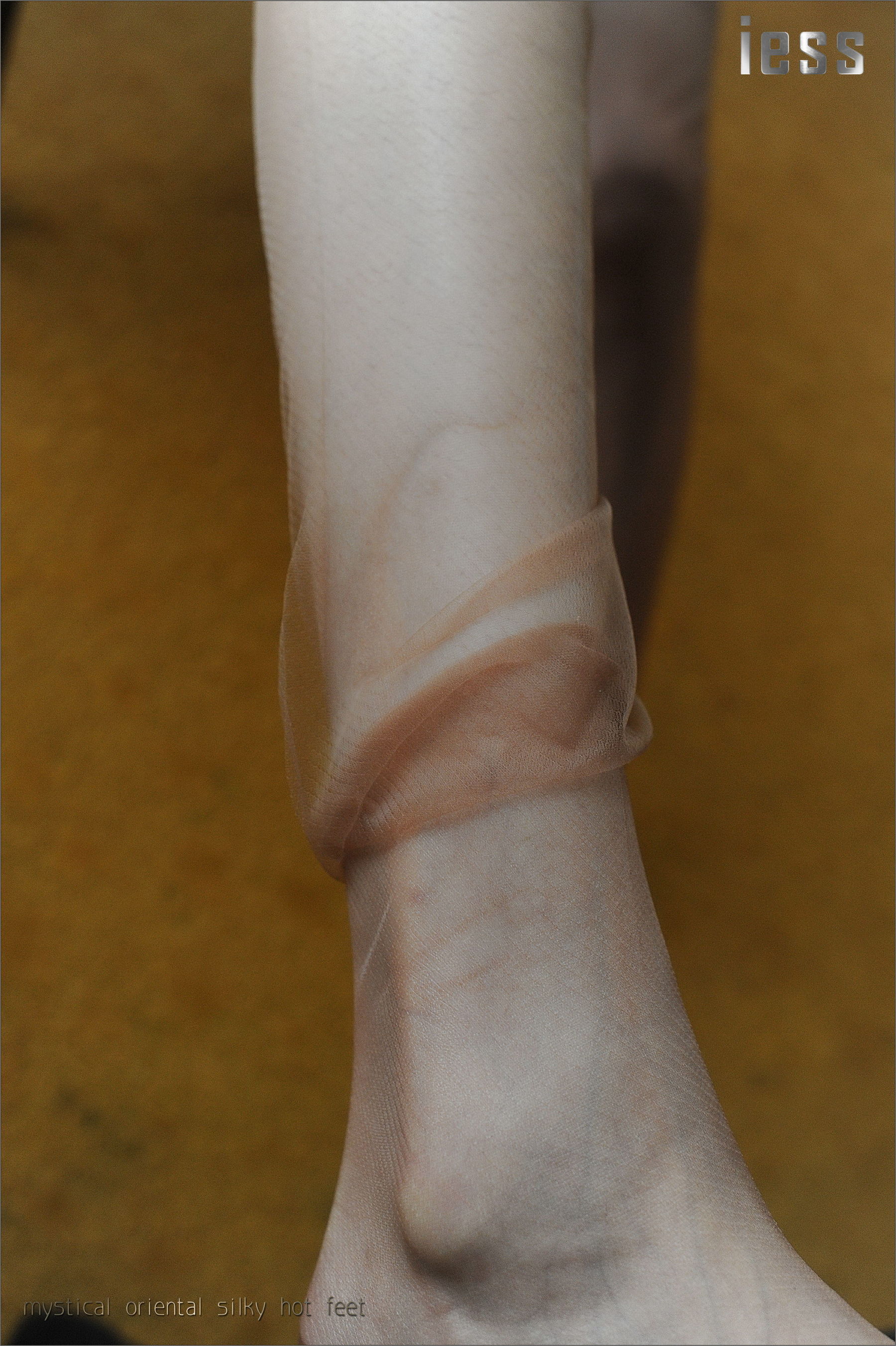 图片[8]-丝足便当027 含菲 《ES8复古无弹力丝袜细节秀I》[IESS异思趣向]-秀臀网-高品质图集网